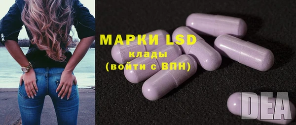 индика Богданович