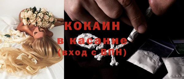 индика Богданович