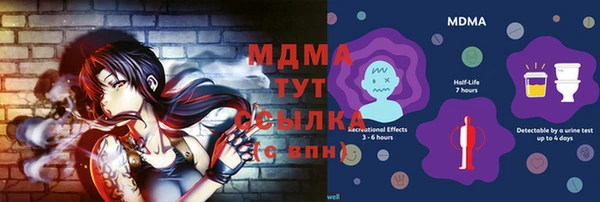 индика Богданович