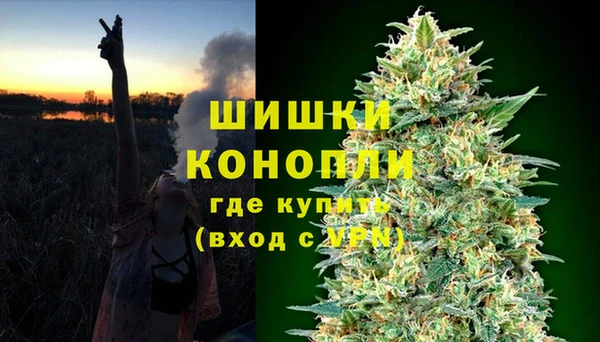 ПСИЛОЦИБИНОВЫЕ ГРИБЫ Богородицк