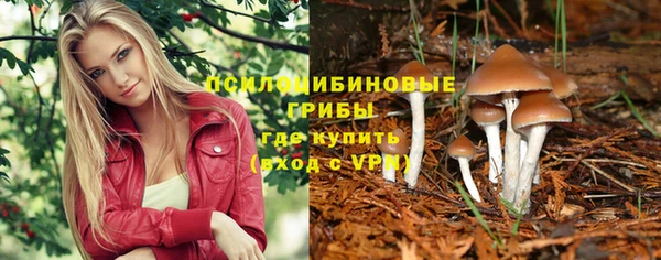 spice Балахна