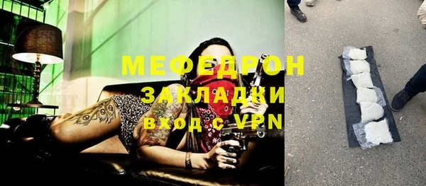 индика Богданович