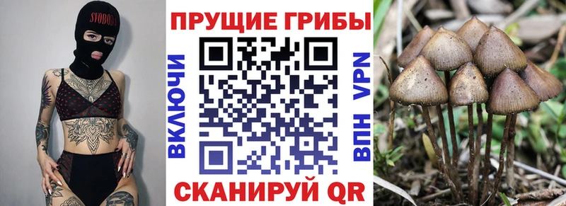 Псилоцибиновые грибы MAGIC MUSHROOMS  Обь 